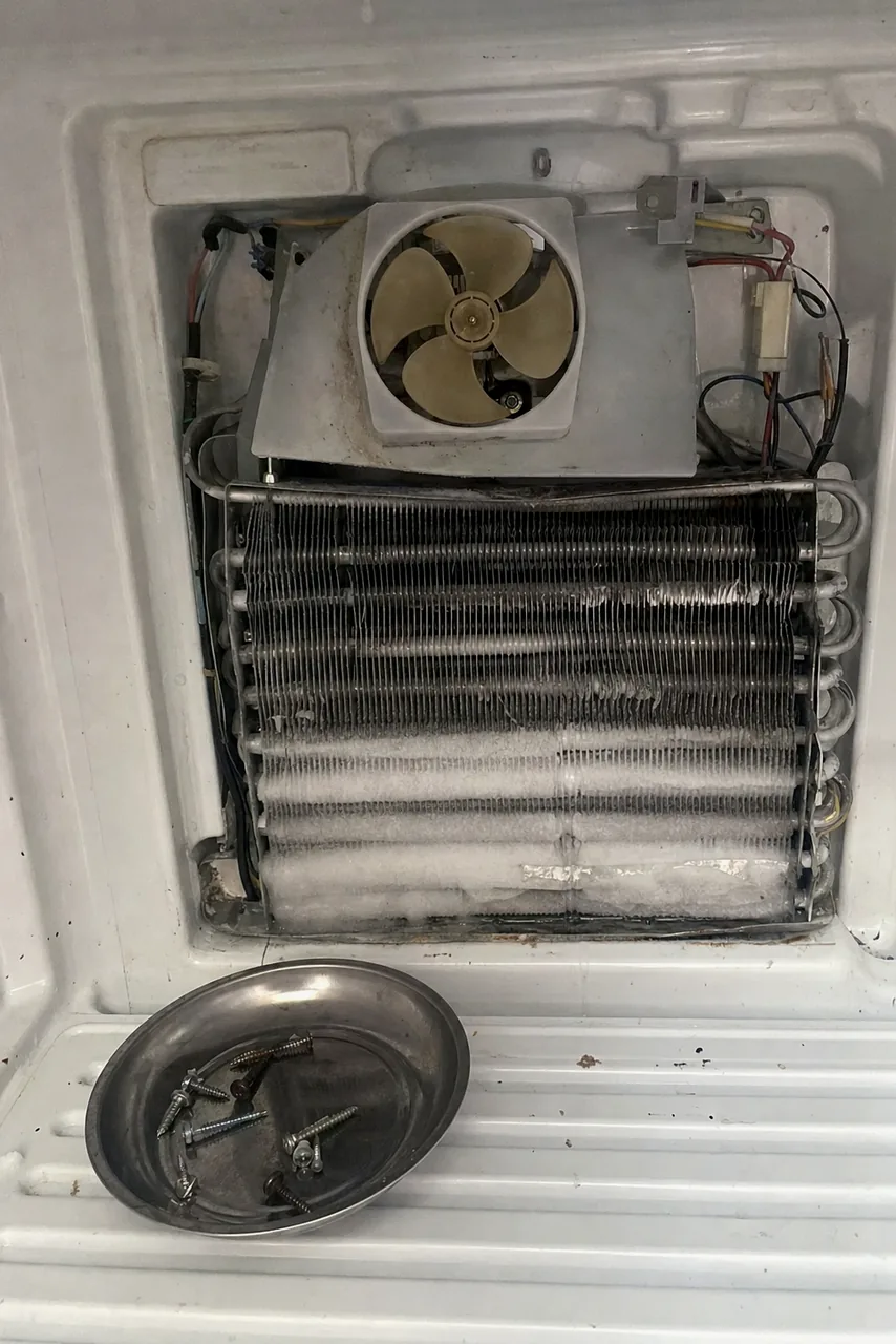 An opened freezer with the evaporator panel off, frost across the coil and the round defrost heater element resting on the shelf below it